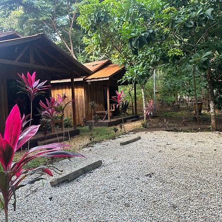 Finca Avellanas Lorena Bagian luar foto