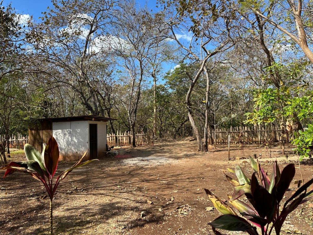 Finca Avellanas Lorena Bagian luar foto