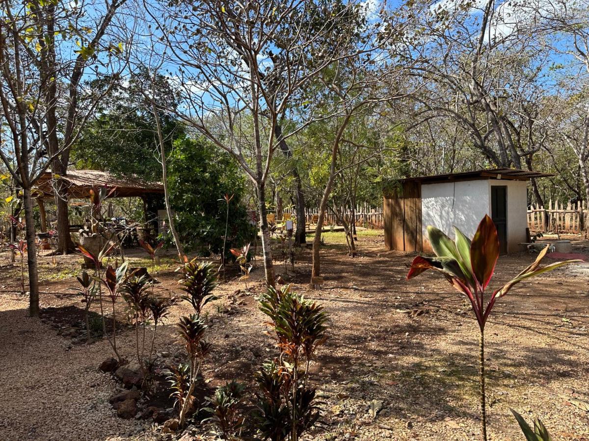 Finca Avellanas Lorena Bagian luar foto