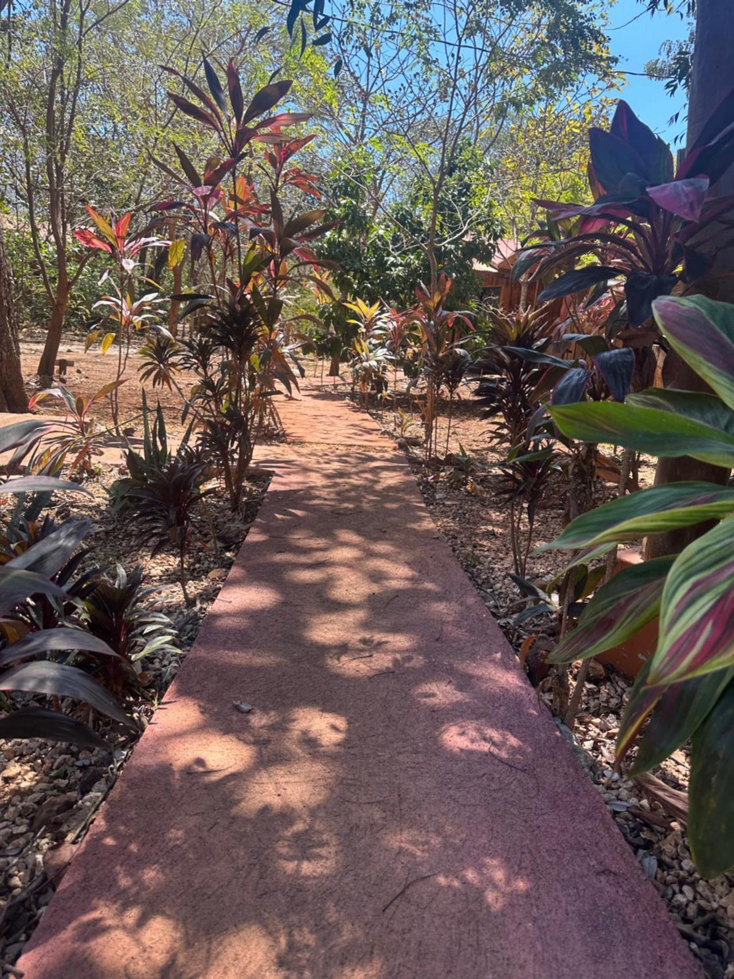 Finca Avellanas Lorena Bagian luar foto