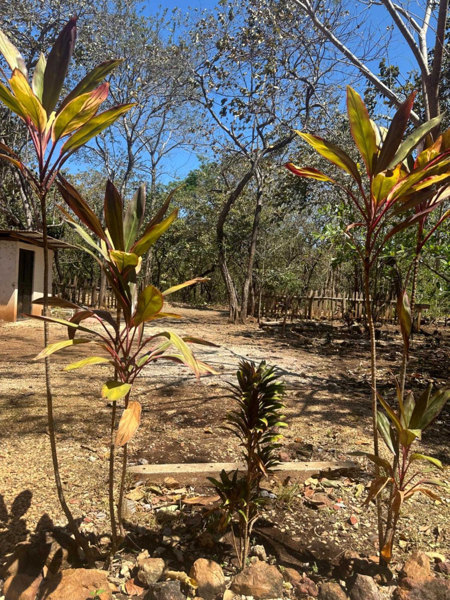 Finca Avellanas Lorena Bagian luar foto