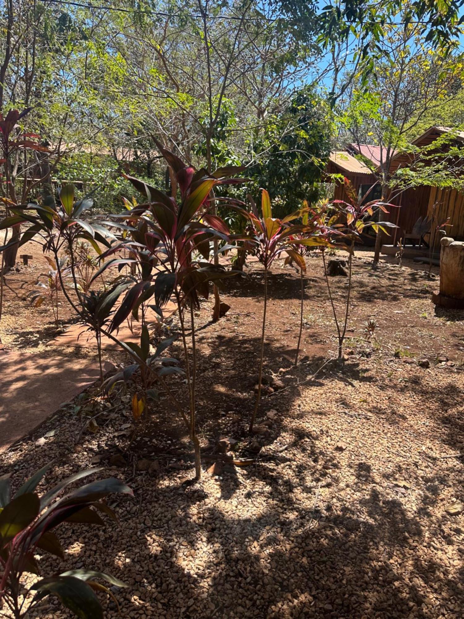 Finca Avellanas Lorena Bagian luar foto