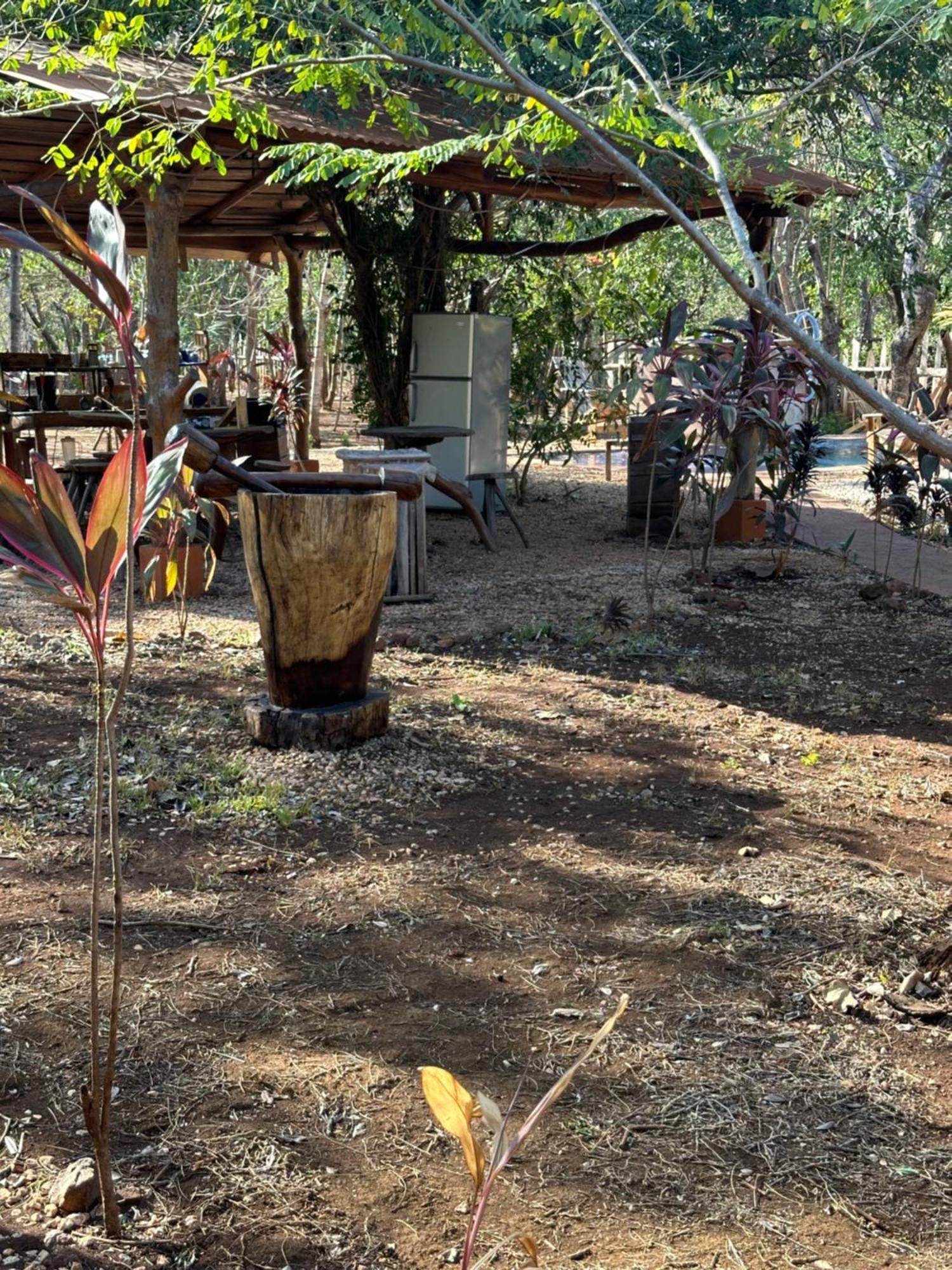 Finca Avellanas Lorena Bagian luar foto