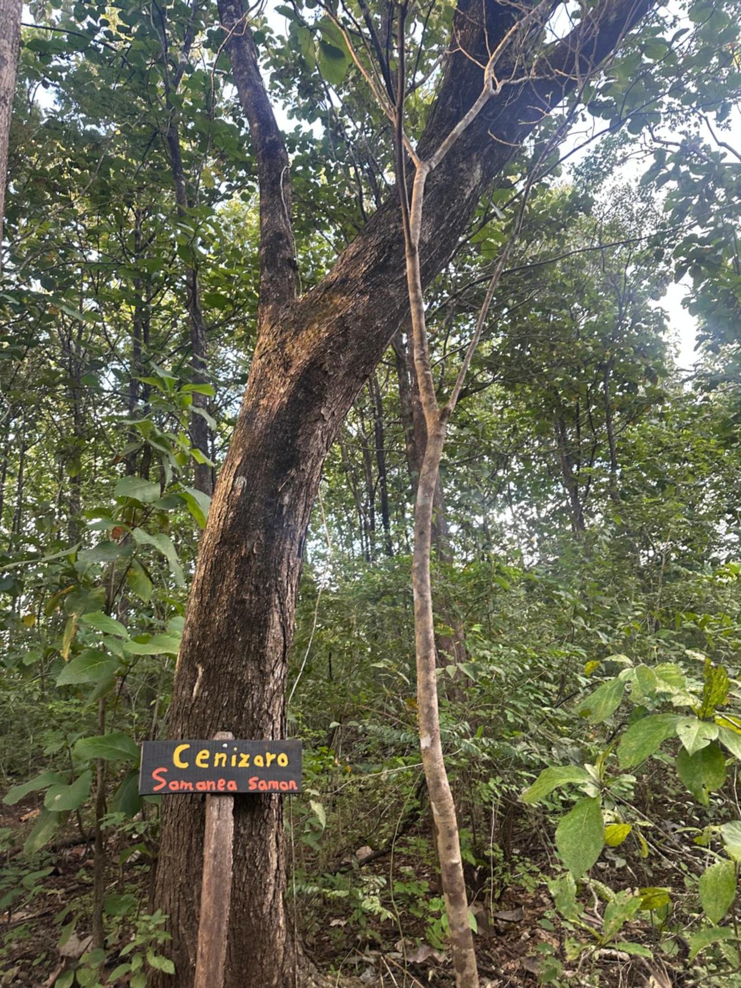 Finca Avellanas Lorena Bagian luar foto